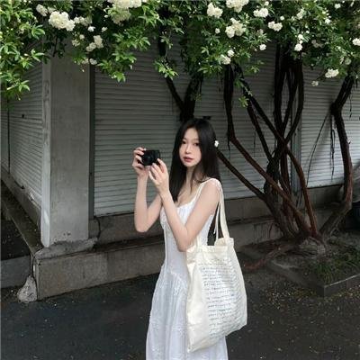 摩斯探长第四季